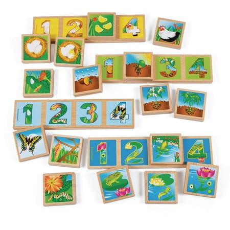 UPC: 0191487111539 | Excellerations earlySTEM Life Cycles Sequencing Lotto