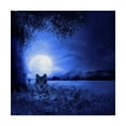 thumbnail image 1 of Trademark Fine Art 'Moon Night And Wolf' Canvas Art by Ata Alishahi, 1 of 3