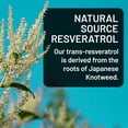 thumbnail image 4 of NatureWise NAD+ Support Complex - Nicotinamide Riboside + Resveratrol to Support NAD+ Supplement for Healthy Aging + Clinically Tested Quercefit - USA Manufactured - Non-GMO, 60 Count[30-Day Supply], 4 of 12