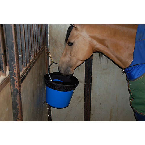 Horse Spa WaternHole Bucket Rim 5 Gallon
