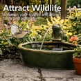 thumbnail image 6 of Sunnydaze Frog Contemporary Green Ceramic Solar Water Fountain, 6 of 18