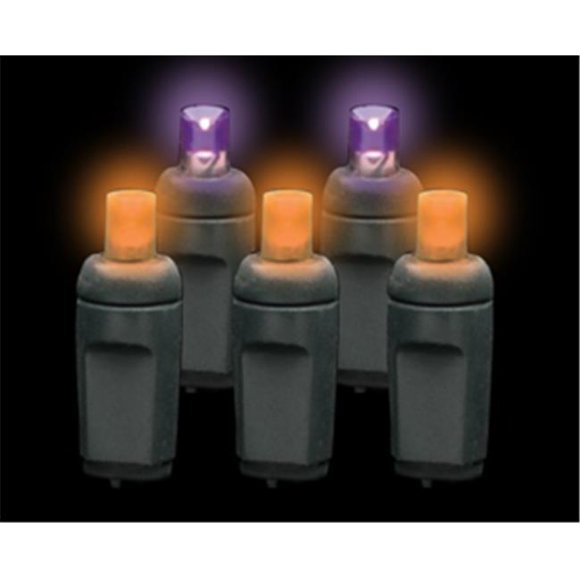 Reinders 5MM50PO-F Premium Grade 5MM 50 LED Violet/orange Givre Vacances Lumières Chaîne avec Fil Noir