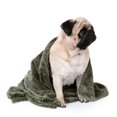 thumbnail image 1 of Mantas lavables para mascotas, perros, gatos, cachorros, almohadillas suaves y cálidas., 1 of 4