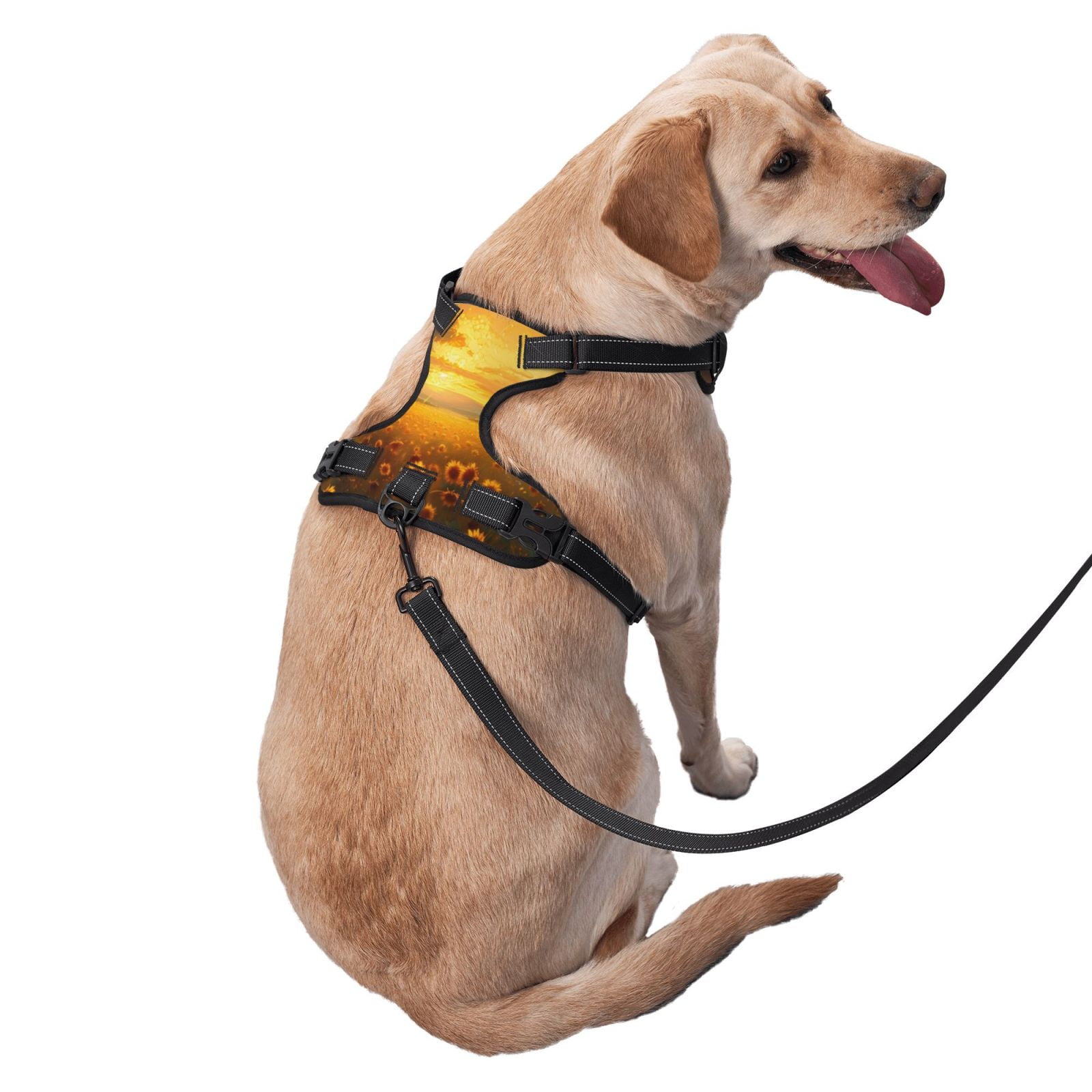 Vsdgher Sunflower Sunset Rainfall Dog Harness, No-Pull Pet Harness, Dog Vest, Pet Vest for Small to Large Dogs-Large