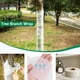 thumbnail image 5 of Protector de árbol de 8"x98ft | Vendaje aislante para plantas a prueba de invierno | Protector contra heladas transpirable no tejido para árboles, arbustos, árboles frutales | Protección, 5 of 6