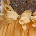 thumbnail image 5 of Toddler Kid Girl Lace Sleeveless Princess Gown Party Tulle Dress Cosplay Clothes Summer Beach Dress For Girl Girls Dresses Summer 2024, 5 of 9