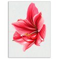 thumbnail image 2 of Big Red Flower Sketch on White - Large Floral Canvas Artwork, 2 of 3