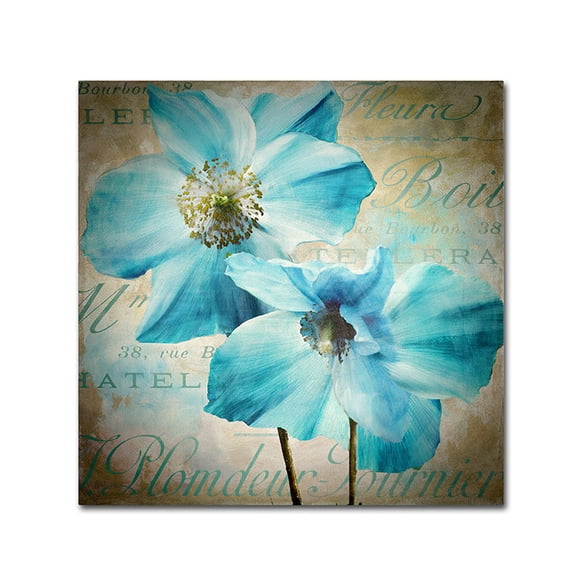 Trademark Fine Art "Himalayan Blue I" Canvas Art by Color Bakery