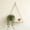 White #2, variant on Wooden Hanging Shelf with Rope - Rustic Wall Mounted Display Shelf for Living Room Bedroom Kitchen Bathroom - Floating Storage Rack for Books Plants Collectibles Toys - 17.7 Inch Single Shelf