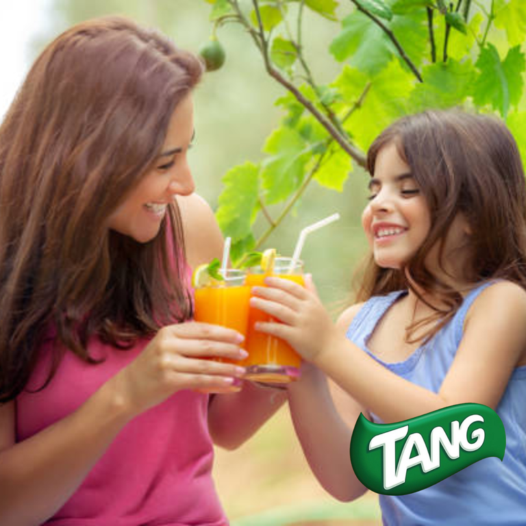 Tang Orange Zero Sugar On The Go Powdered Drink Mix Zero Sugar Low Calorie Non Carbonated Water Enhancer Packets Lunch Picnics Outdoor Beverages 3 Boxes 18 Serv