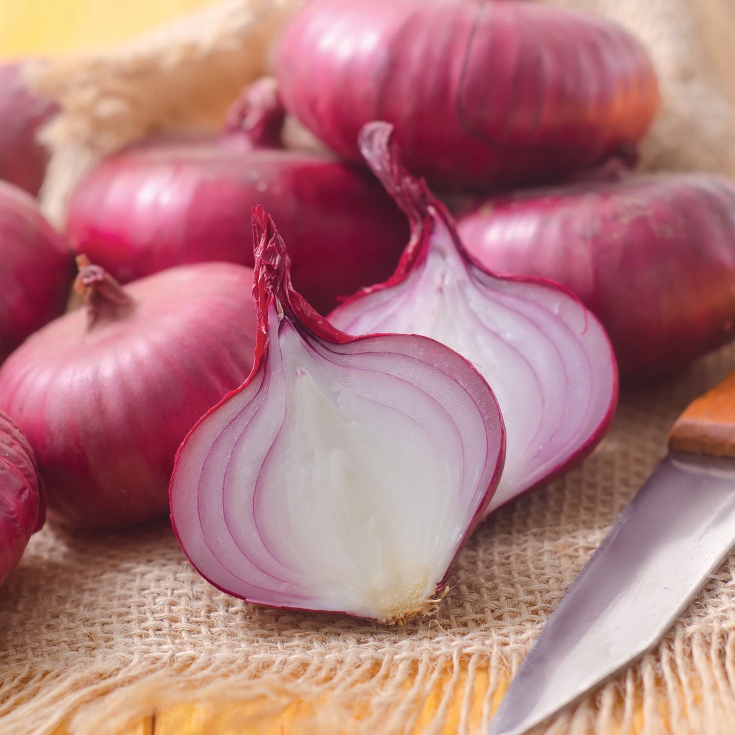 Van Zyverden Onion Sets Red Set of 250 Bulbs White Full Sun Perennial Fragrant 2 lbs