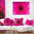 thumbnail image 3 of Designart Macro Photo of Gerbera Flower - Flowers Throw Pillowwork - 16x16, 3 of 4