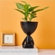 thumbnail image 4 of Novedad maceta decorativa de Cactus 13,5x9,5 cm maceta de Negro Cola Jardinera suculenta, 4 of 8