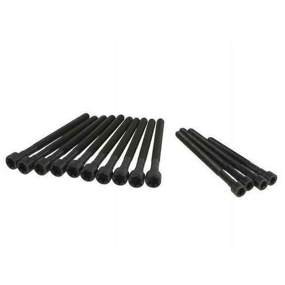 Head Bolt Set - Compatible with 2006 BMW 325i