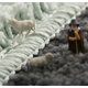 thumbnail image 5 of Alfombras de baño simples para el hogar, alfombrillas absorbentes para puerta de baño, alfombrillas para puerta del hogar UHUSE alfombras de baño, 5 of 8