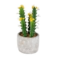 thumbnail image 1 of Vickerman FH191712 12 in. Green Potted Cactus Plastic Planter Pot, 1 of 2