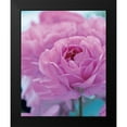 thumbnail image 2 of Friis-Larsen, Liv 20x24 Black Modern Framed Museum Art Print Titled - Roses Anglaises, 2 of 5