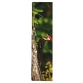 thumbnail image 1 of National Geographic Marque-Page 3D - Pic Empilé, 1 of 1