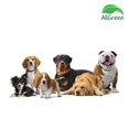 thumbnail image 2 of Shampoo Dermatológico AllGreen Perros Mascotas 6Pack - S024 AllGreen YA_AG_001_6p, 2 of 3