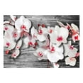 thumbnail image 3 of Tiptophomedecor Floral Wallpaper Wall Mural - Callous Orchids, 3 of 4