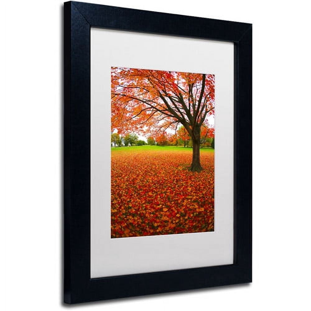 Trademark Fine Art "Autumn Expressions" Canvas Art by CATeyes, White Matte, Black Frame
