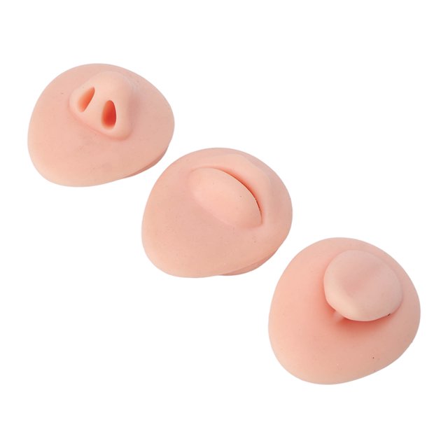Modèle de Corps en Silicone 3D pour la Pratique - Ensemble de Modèle de Nez de Bouche Réutilisable, Modèle de Corps de Simulation Portable avec Nez, Langue, Bouche - Formation de Maquillage