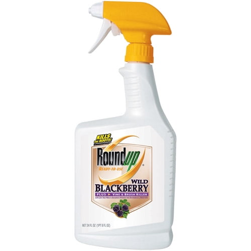 Roundup Wild Blackberry & Brush Killer