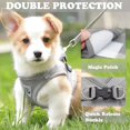 thumbnail image 3 of Arnés y correa para perros y gatos Soft Jacket Step in para pasear, arneses de liberación rápida para cachorros, gatos grandes, ajustables y livianos (L, gris), 3 of 4