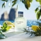 thumbnail image 2 of Perfume Dolce & Gabbana Light Blue para hombre 40 ml EDT, 2 of 5