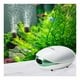 thumbnail image 1 of Kit de aireador para acuarios con bomba de aire boxtech Oxygen para peceras, 1 of 6