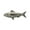 Antique Pewter, variant on American Shad Pin, F027, Pewter, 2”, Alosa sapidissima, Lapel Pin, Hat, Pins, Brooch, Brooches, Jewelry, Gift, 100% Handmade in the USA, 200 Fish Designs Available