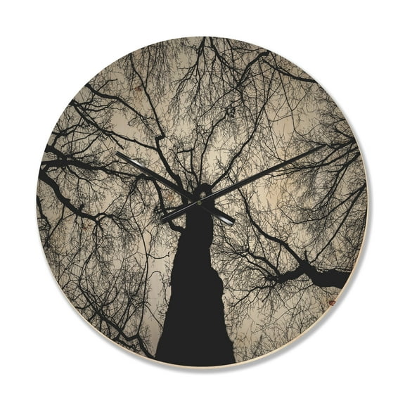 Designart 'Sky View Throught Winter Branches ' Modern Wood Wall Clock