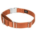 thumbnail image 4 of Country Brook Petz® Coral Heavyduty Nylon Martingale with Premium Buckle, Small, 4 of 6