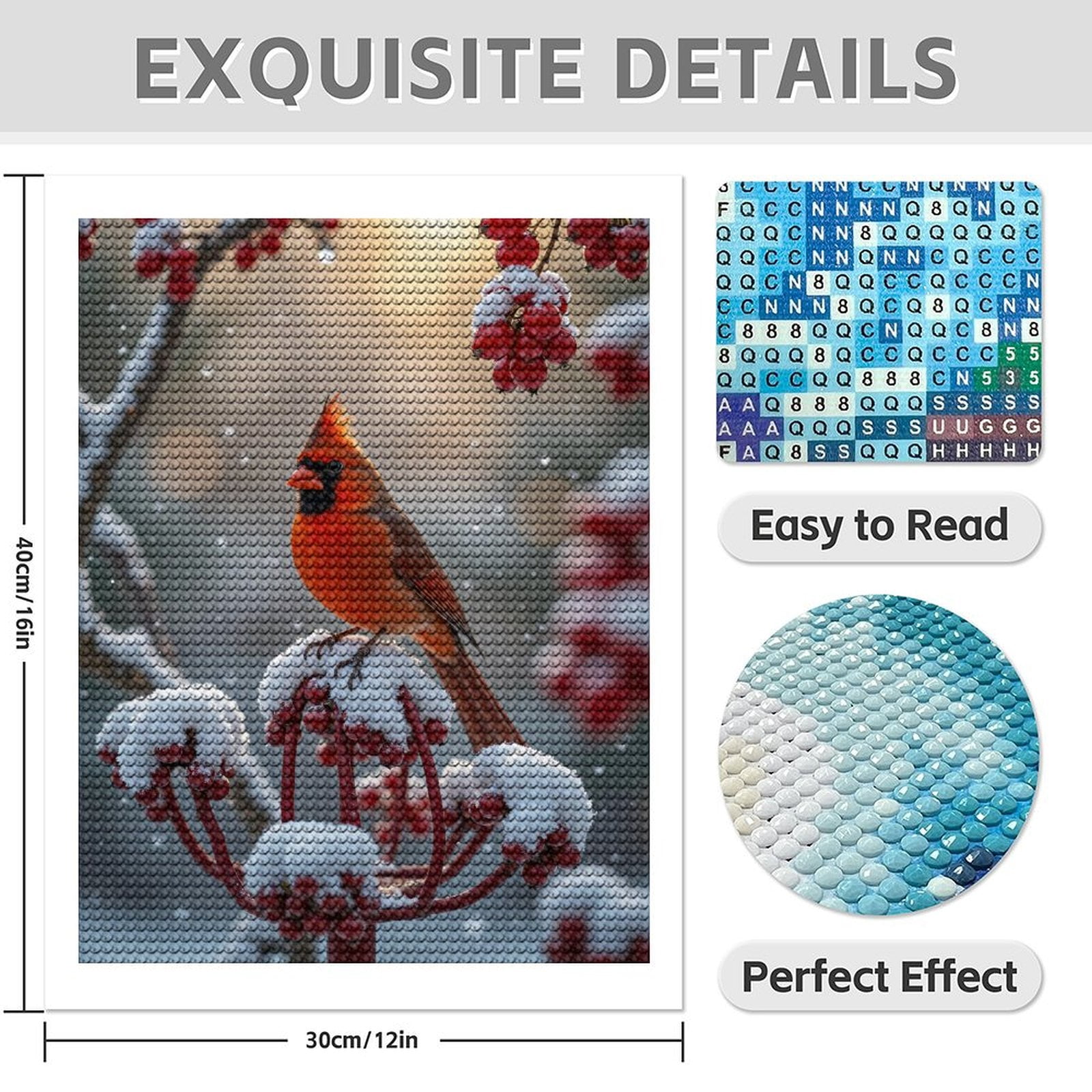 Diamond Art Kit for Adults, Winter Cardinal Snow Red Berries Diamond Painting for Adults Beginners, 5D DIY Diamond Art Painting Kits, Colorful Diamond Painting Craft for Home Decor 12x16