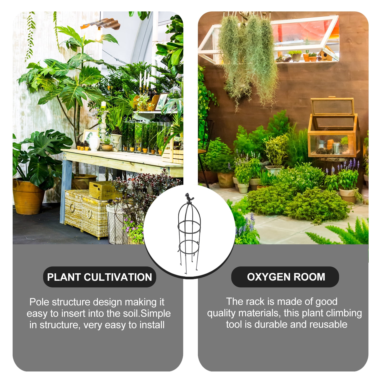 Trellis Plant Climbing Garden Support Cage Frame Flowers Roses Rack Design Vegetable Layer Rattan 2 Plants Vine Vines