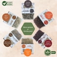 thumbnail image 2 of Variedad de Incienso de Resina TRUMIRI 6x30 g, Aromas Naturales, 2 of 8