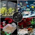 thumbnail image 5 of Bol d'Alimentation Aquarium, 2 Pcs Plat d'Alimentation pour Crevettes Réservoir de Poissons en Verre Plats Ronds et Carrés Transparents, 5 of 5