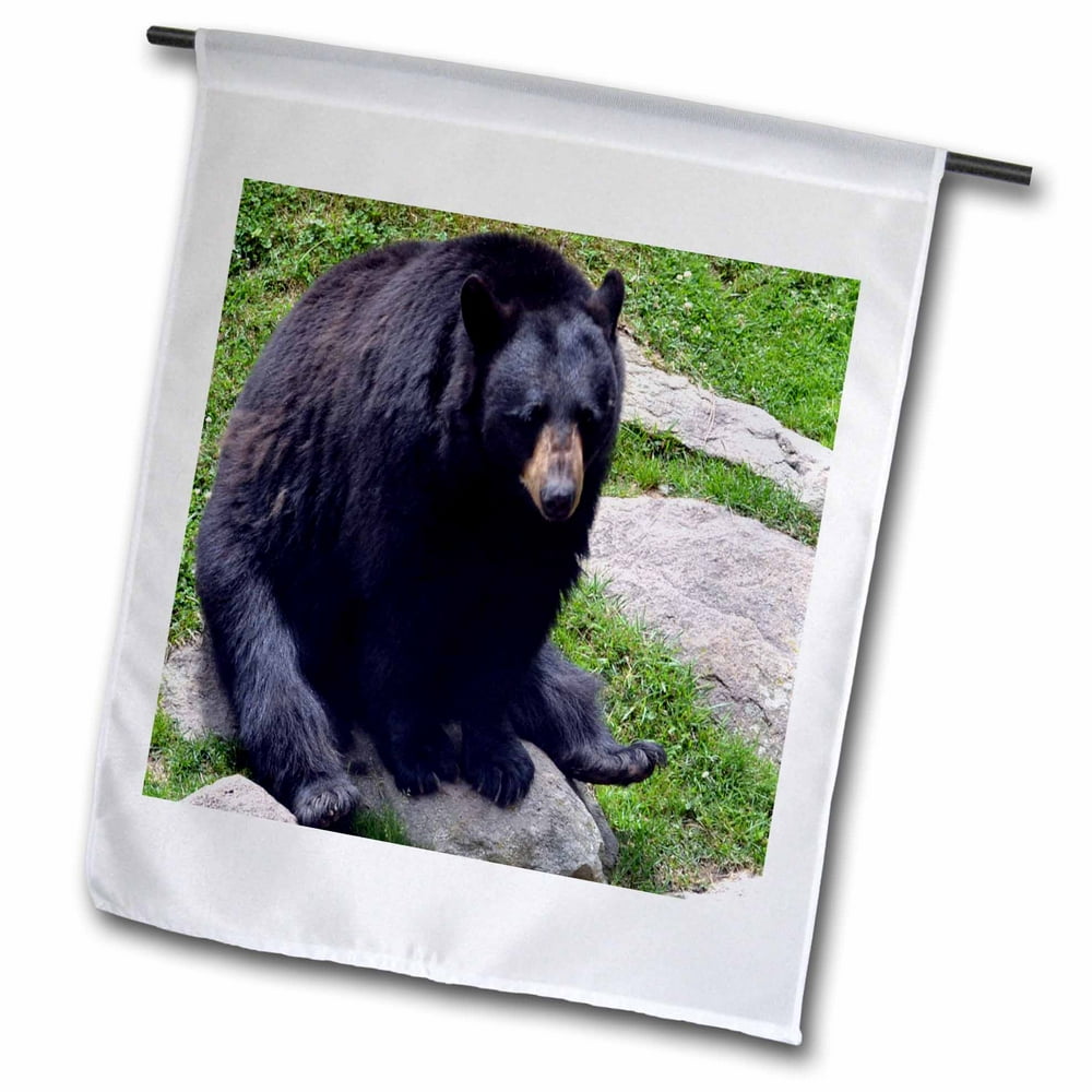 3dRose Black Bear North Carolina Bear - Garden Flag, 12 by 18-inch