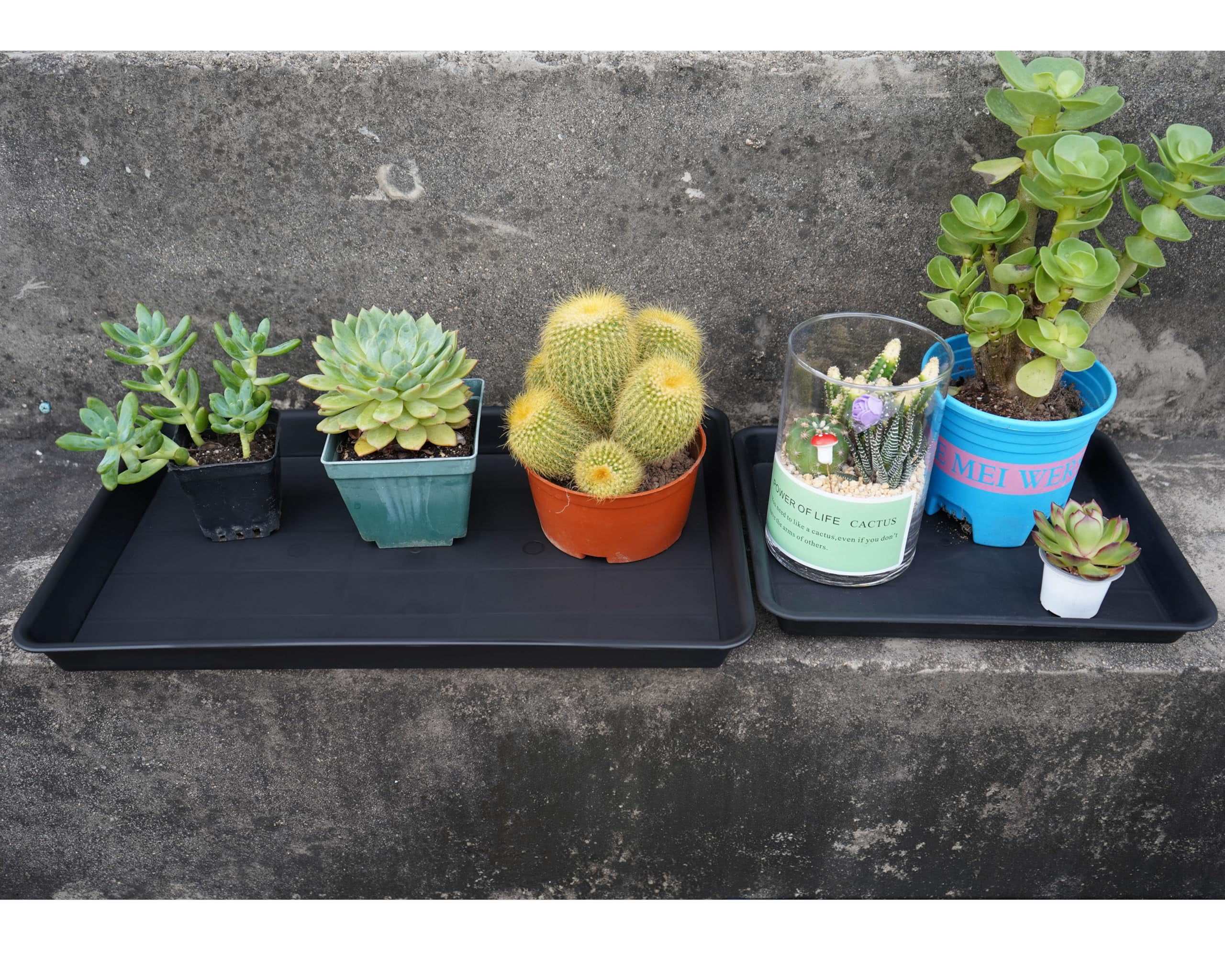 Plant Saucer Growing Tray Set 2-Pack 11x9 Inch Heavy Duty Plastic Seed Starter Trays with Drainage for Indoor Outdoor Pots Gardening Supplies