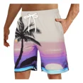 thumbnail image 1 of Traje De Baño Shorts De Imprimir Playa Bañadores Para Hombre, 1 of 7