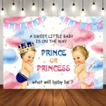 thumbnail image 1 of Aperturee Sweet Baby Pink Blue Cloud Gender Reveal Backdrop, 1 of 8