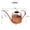 Rose Gold, variant on FEOLGEHLY 500ML Sliver Watering Can for Indoor Plants, Garden Tools for Home Decor, Long Spout Watering Can for House Plants, Stainless Steel Small Watering Can Precise Pour for Plant Pots, Cleaning