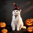 thumbnail image 5 of Cat Wizard Hat Pet Halloween - Adjustable Sorcerer Hat for Cats Small Dogs Cosplay(Black-1,13.5cm), 5 of 5