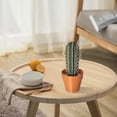 thumbnail image 4 of Dispensador de Palillos de Dientes de Cactus Soporte Palillos Dientes Cactus Impreso en 3D para Plantas Interior Decoración para Personas Que No Pueden Mantener Vivas las Plantas B, 4 of 5