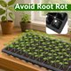 thumbnail image 5 of Gardzen Paquete de 10 Bandejas para Semillas de 72 Celdas, Bandeja de Plántulas Profunda de 1.75", Bandejas Resistentes con Orificios de Drenaje, Compatible con Bandeja Estándar 1020, 5 of 7