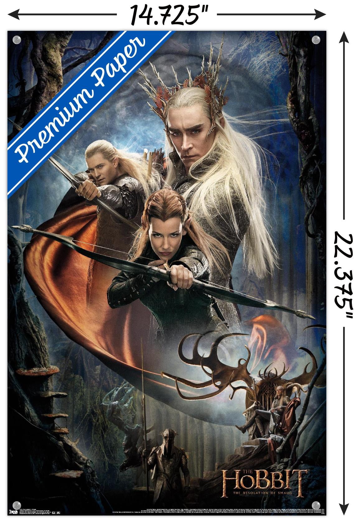 The Hobbit: The Desolation Of Smaug - Group Wall Poster with Push Pins, 14.725" x 22.375"