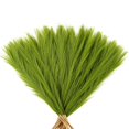 thumbnail image 1 of Planta seca Acfruits verde lima, hierba de pampa, 43 cm, 30 unidades, 1 of 7