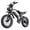 GS 9 PRO, variant on ASKGO S9 2200W Peak 750W Electric Bicycle 48V 20Ah,16"Fat Tire Off-Road Ebike 28MPH 65Miles Range,Full Suspension,Removable Battery Adult Electric Bike UL2849