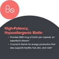 thumbnail image 5 of ARG Biotin 5000 - Delivers 5000 mcg Biotin - Vitamin B - Metabolism & Energy Production Support - Hair, Skin & Nail Supplement - Gluten-Free - 60 Servings - 60 Vegetarian Capsules, 5 of 5