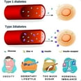 thumbnail image 4 of Foot Acupressure-pads, For Foot Pain Improves For Relieve Fatigue Sore, 4 of 4
